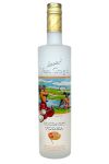 Van Gogh Coconut Vodka 0,7 Liter