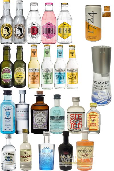 Gin Tonic Probierset 24 Flaschen 12x Verschiedene Gin Sorten + 12x  Verschiedene Tonic Sorten - 1aWhisky - Ihr Whisky, Rum, Vodka Online Shop  rund um die