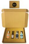 Geschenkbox mit 4 Gin Miniaturen Set 2
