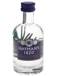 Haymans 1820 Ginlikör 50 ml